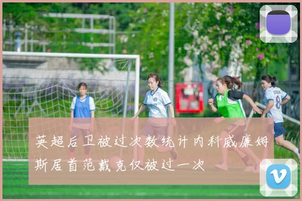 英超后卫被过次数统计内科威廉姆斯居首范戴克仅被过一次