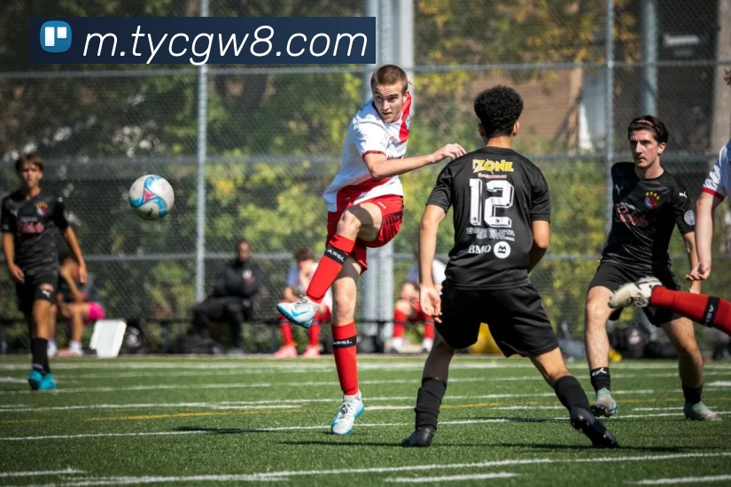 App Interface Preview