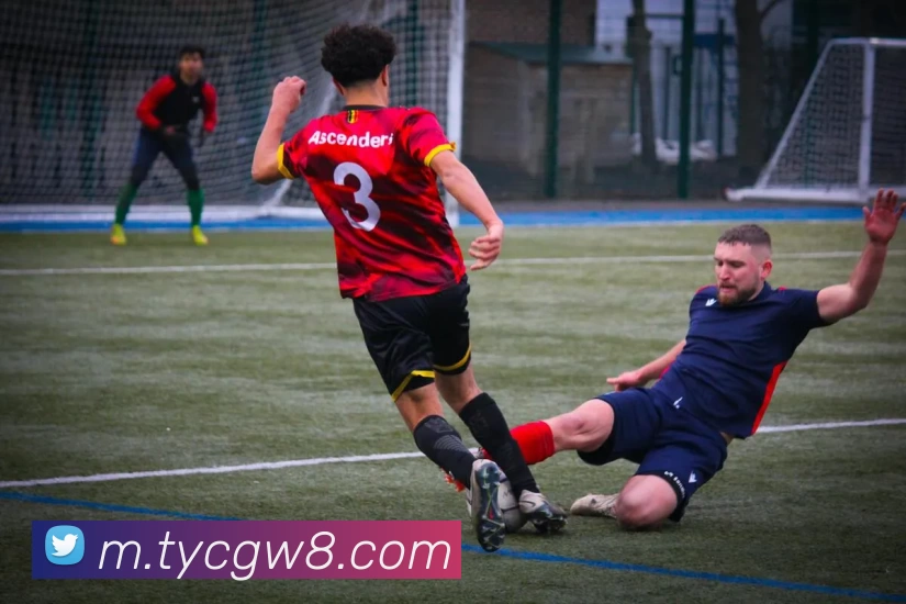 太阳城官方网站APP 封面图